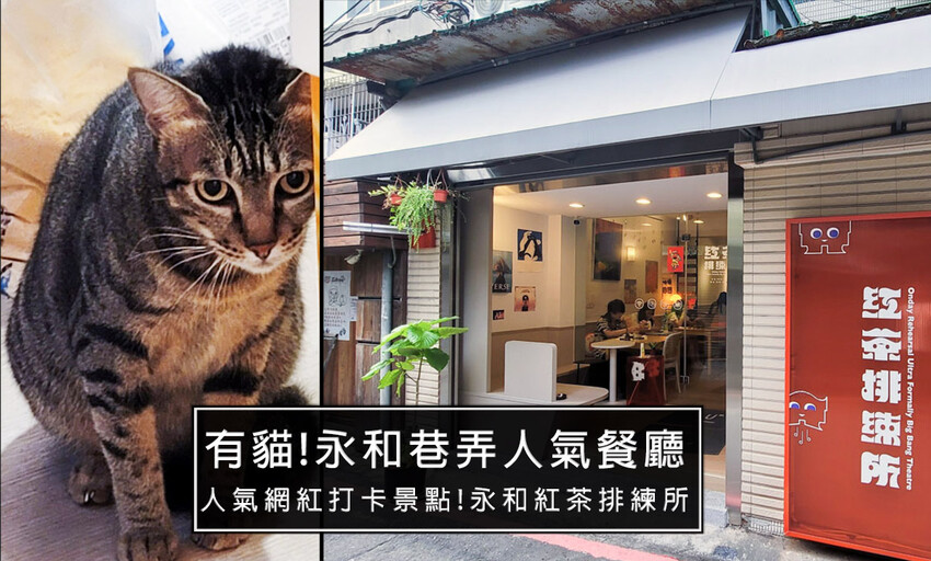 下新莊無名豬血糕！後港新公園旁不定時出沒，比傳說神奇寶貝還隱密的阿北豬血糕