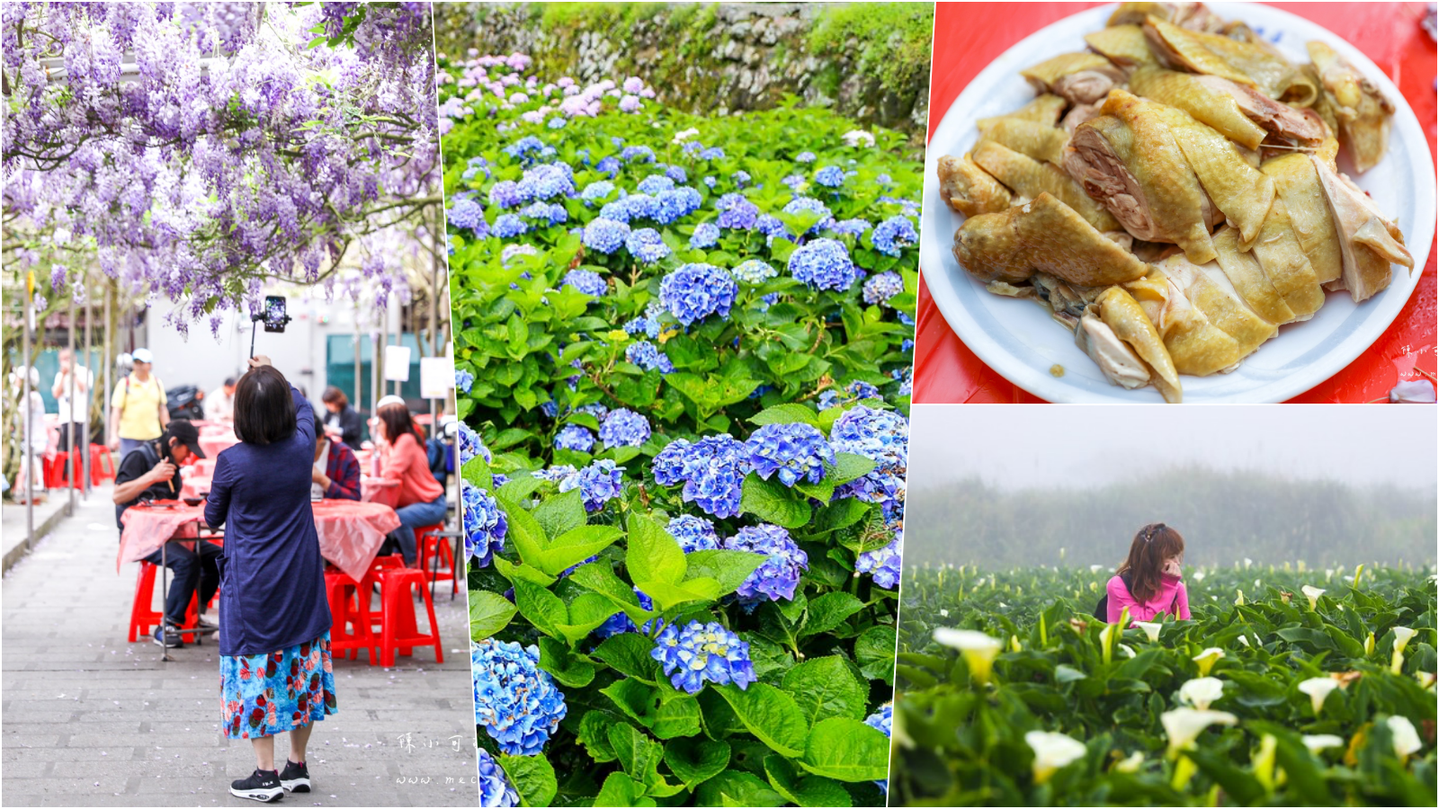 不用上山囉！陽明山超紅青菜園兒子在三重開了雞肉店，太晚去賣光光！
