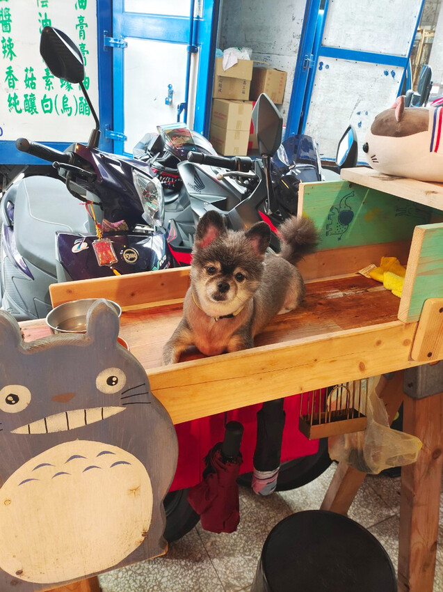 台南平價韓式小吃│韓湘辣炒年糕│銅板價50元起司湯飯│一個人