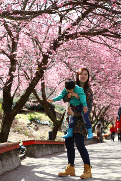 50-1489.jpg 50-1489.jpg