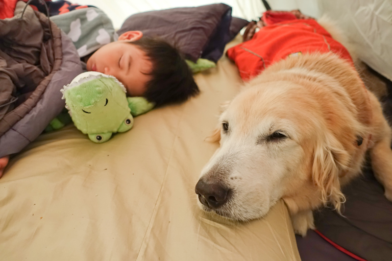 推車-1-73 推車-1-73