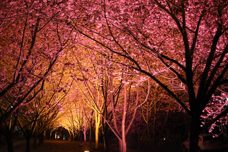 50-1386.jpg 50-1386.jpg