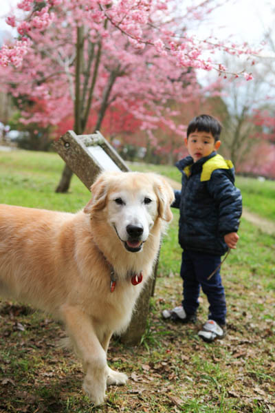 50-1274.jpg 50-1274.jpg