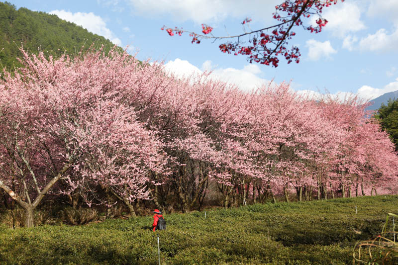 50-1427.jpg 50-1427.jpg