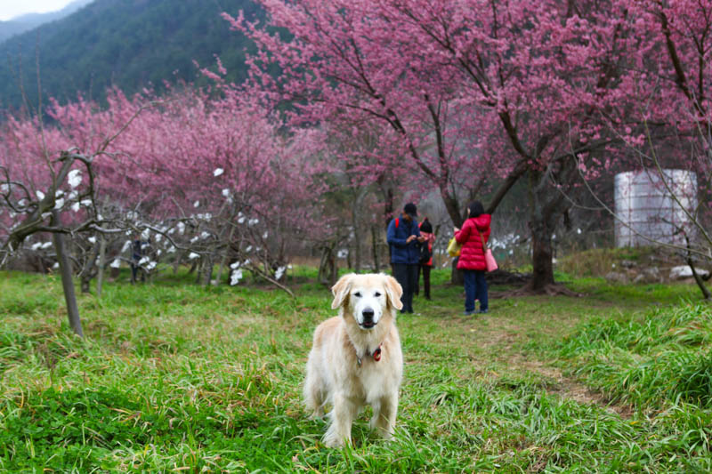 50-1191.jpg 50-1191.jpg