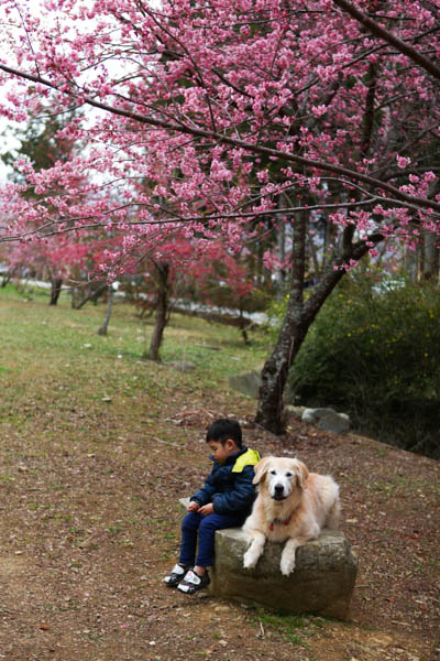 50-1245.jpg 50-1245.jpg