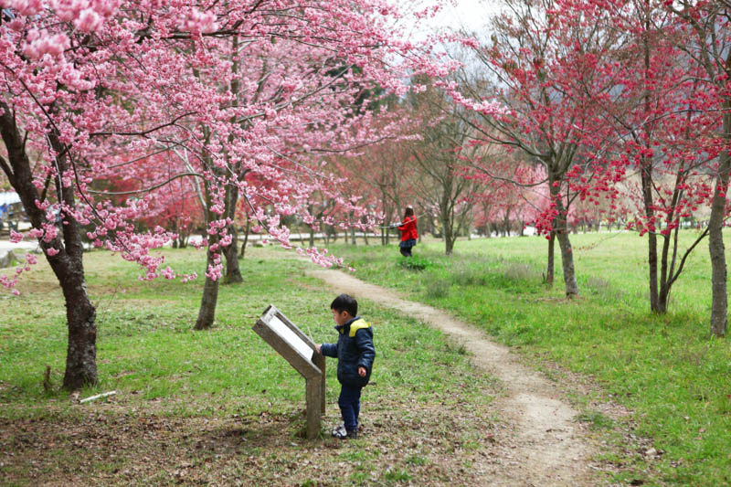 50-1268.jpg 50-1268.jpg