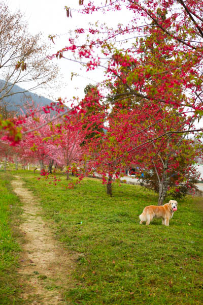 50-1258.jpg 50-1258.jpg