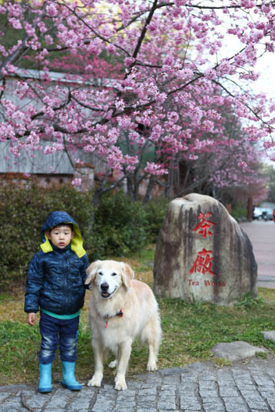 50-1391.jpg 50-1391.jpg