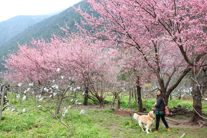 50-1202.jpg 50-1202.jpg