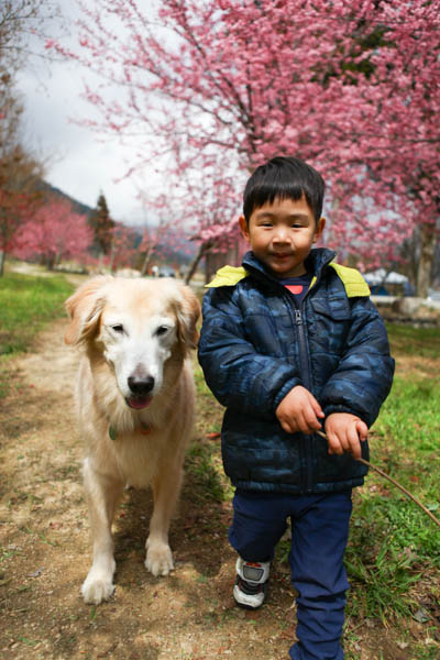 50-1264.jpg 50-1264.jpg