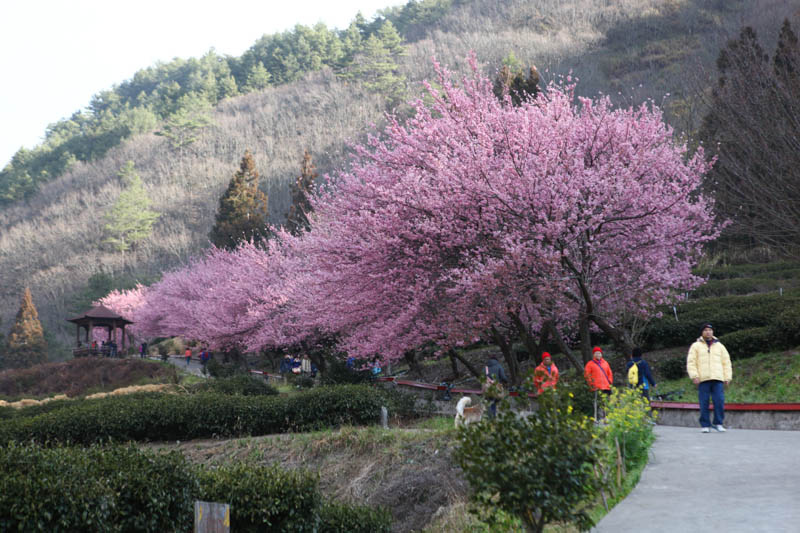 50-1416.jpg 50-1416.jpg