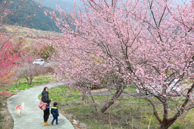 50-1169.jpg 50-1169.jpg