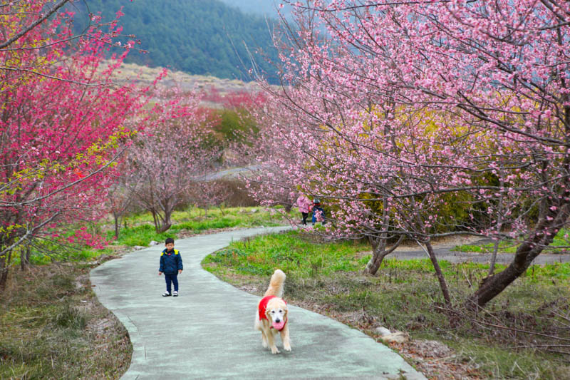 50-1179.jpg 50-1179.jpg