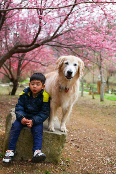 50-1230.jpg 50-1230.jpg