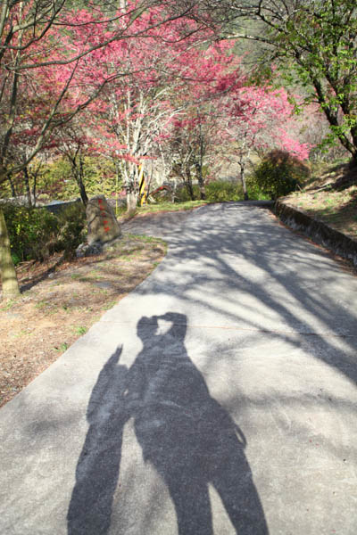 50-1418.jpg 50-1418.jpg