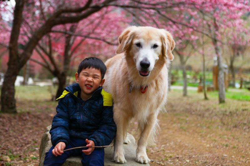 50-1234.jpg 50-1234.jpg