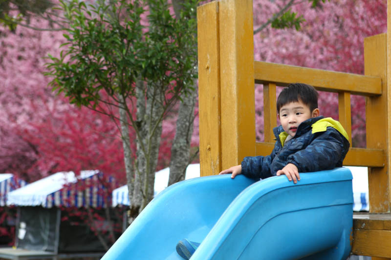 50-1364.jpg 50-1364.jpg