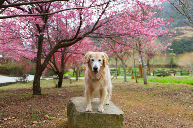 50-1246.jpg 50-1246.jpg