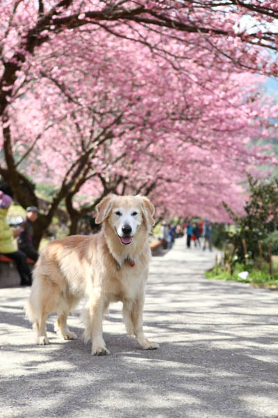 50-1472.jpg 50-1472.jpg