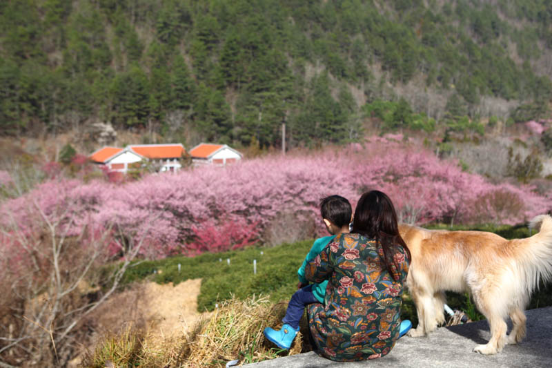 50-1454.jpg 50-1454.jpg