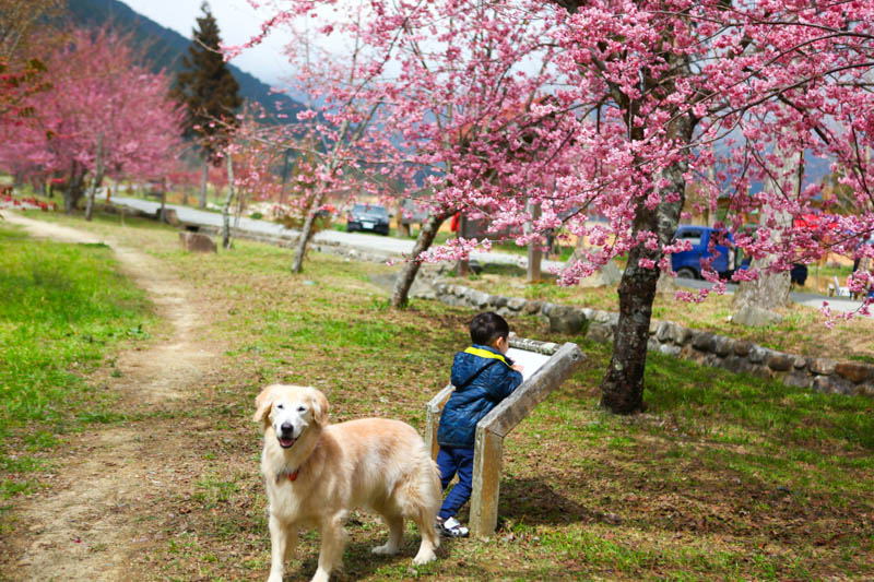 50-1261.jpg 50-1261.jpg