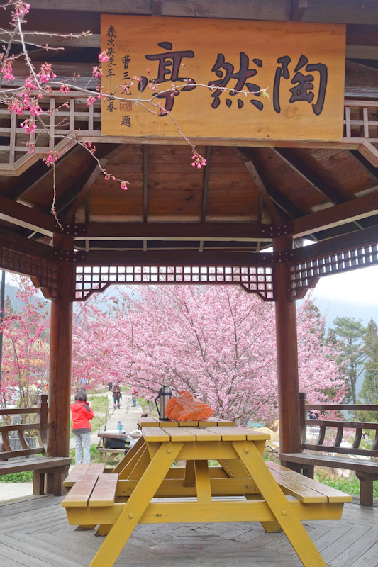 推車-1-67 推車-1-67