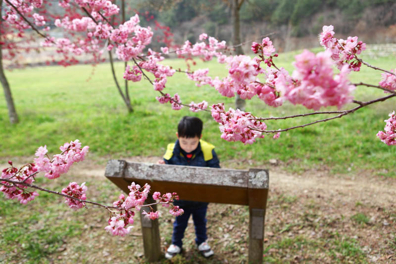 50-1282.jpg 50-1282.jpg