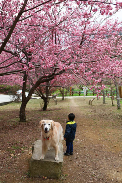 50-1227.jpg 50-1227.jpg