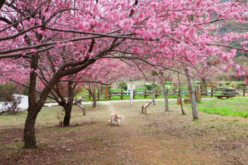 50-1250.jpg 50-1250.jpg