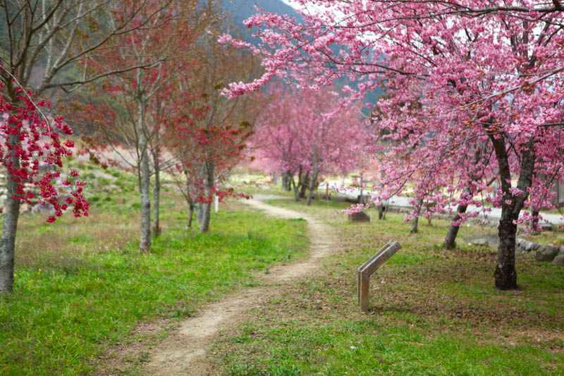 50-1260.jpg 50-1260.jpg