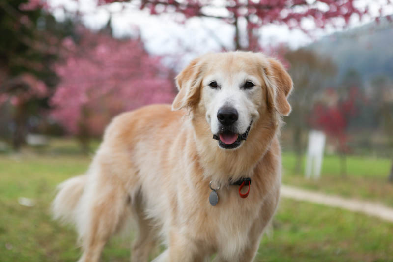 50-1326.jpg 50-1326.jpg