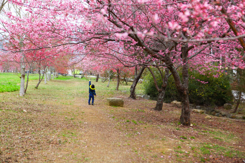 50-1254.jpg 50-1254.jpg