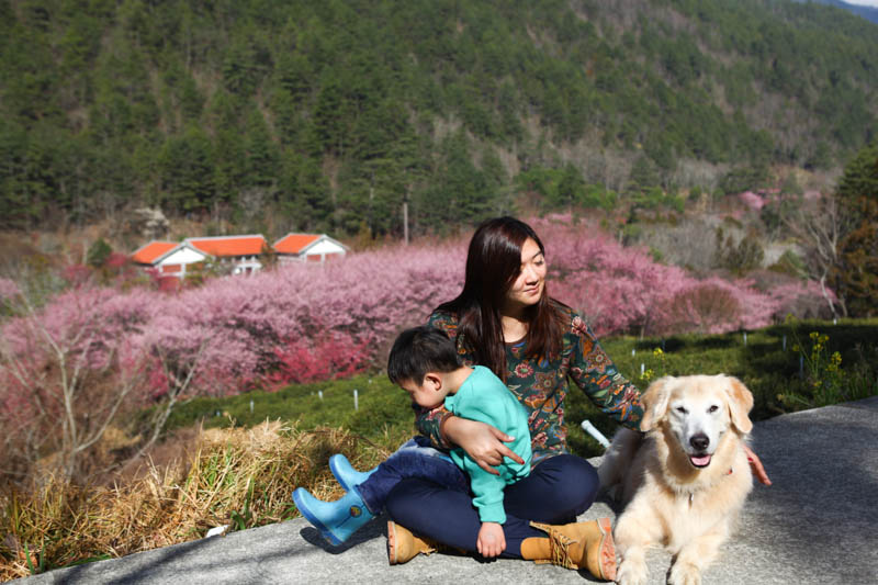 50-1458.jpg 50-1458.jpg