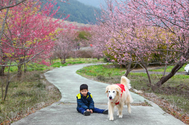 50-1183.jpg 50-1183.jpg