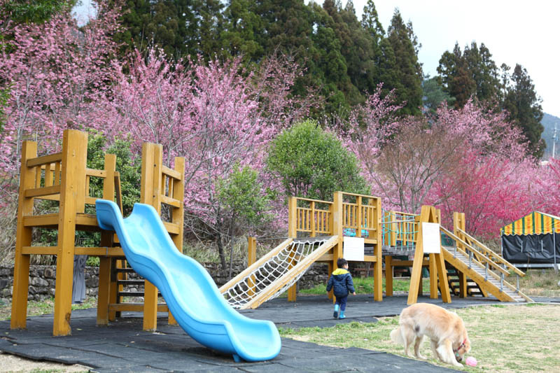 50-1329.jpg 50-1329.jpg