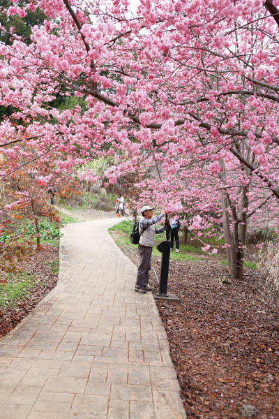 50-1373.jpg 50-1373.jpg