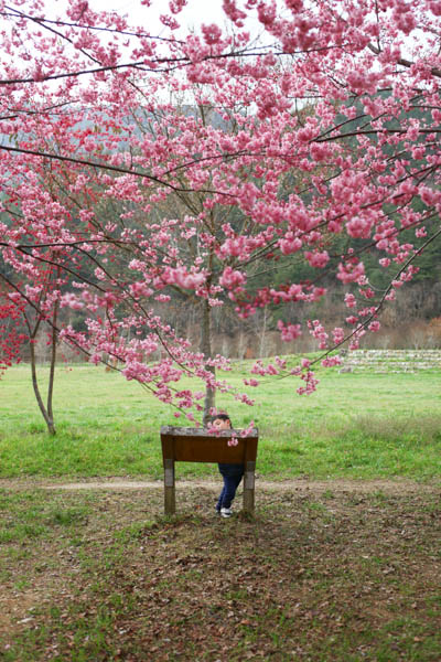 50-1294.jpg 50-1294.jpg