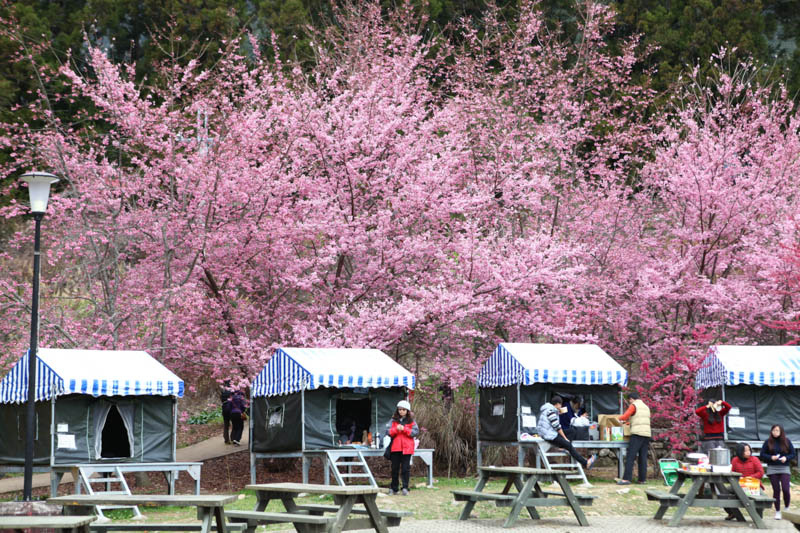 50-1328.jpg 50-1328.jpg