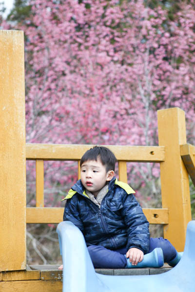 50-1337.jpg 50-1337.jpg