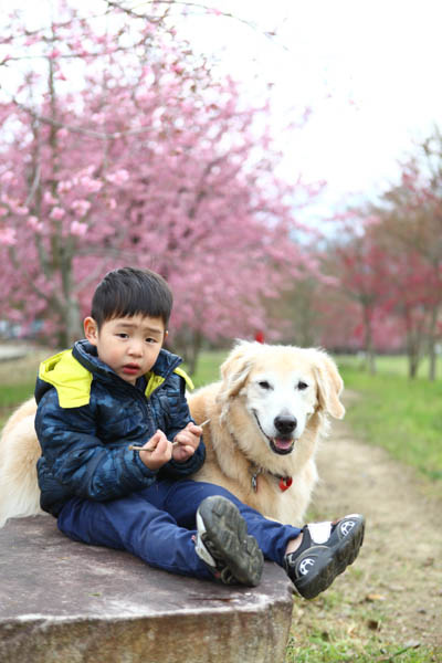 50-1307.jpg 50-1307.jpg