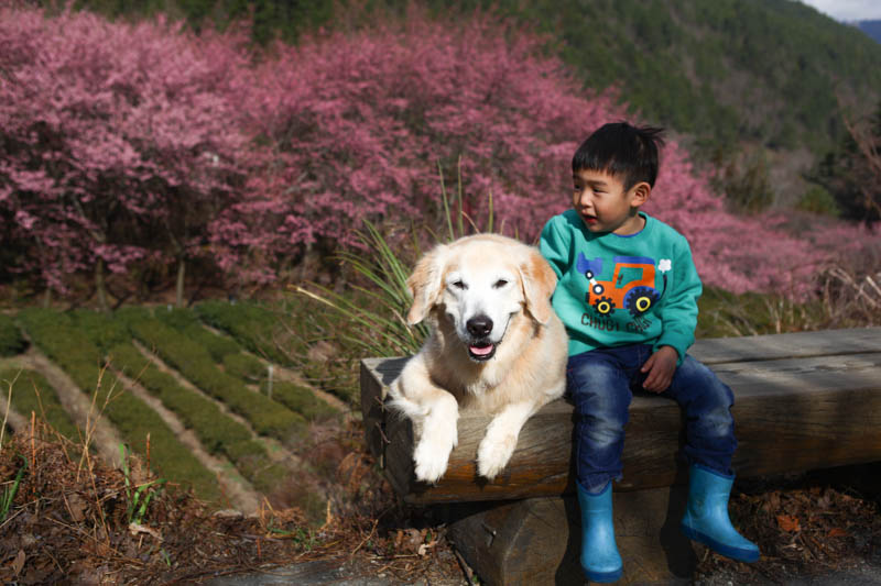 50-1440.jpg 50-1440.jpg