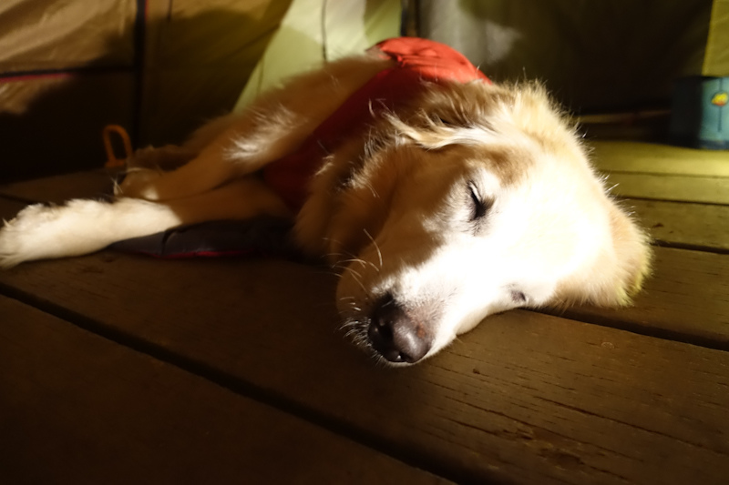 推車-1-68 推車-1-68