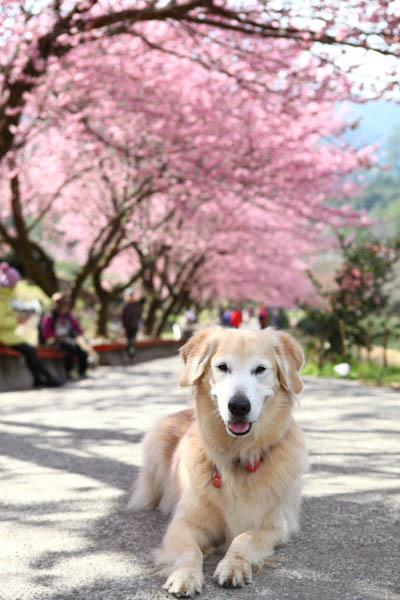 50-1469.jpg 50-1469.jpg