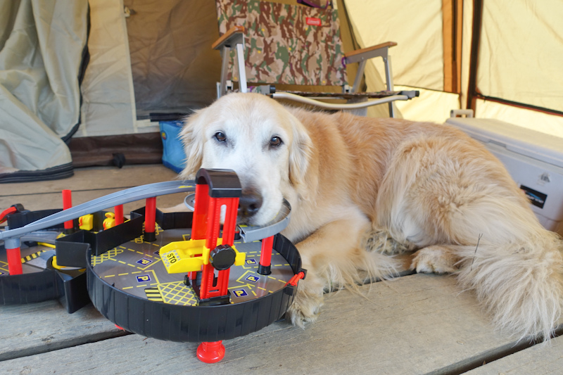 推車-1-66 推車-1-66