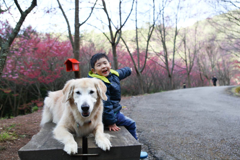 50-1399.jpg 50-1399.jpg