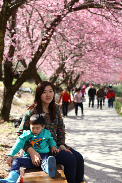 50-1491.jpg 50-1491.jpg