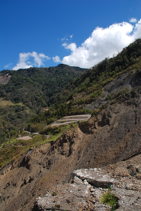 ◈台中◈ⓜ武陵農場賞櫻ⓜ