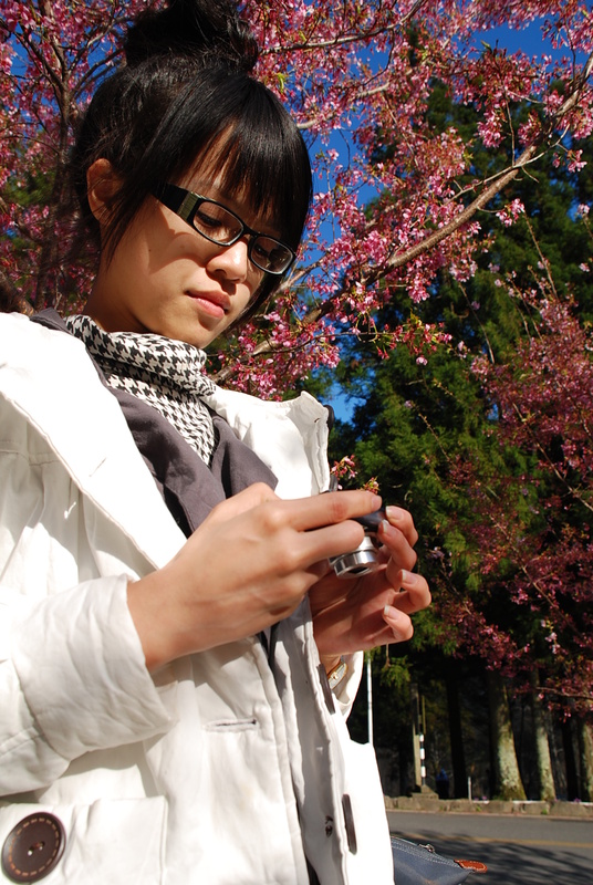 ◈台中◈ⓜ武陵農場賞櫻ⓜ