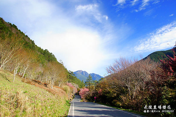 2014武陵 2014武陵